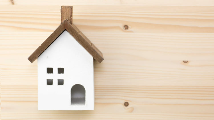 Consultorias Tematicas