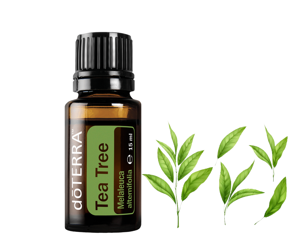 Aceite Esencial Tea Tree 15ml